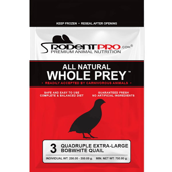 Adult Bobwhite Quail for Snakes & Birds of Prey | Order Quadruple Extra ...